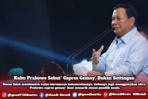 Kubu Prabowo Sebut" Capres Gemoy" Bukan Settingan