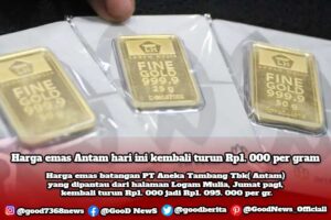 Harga emas Antam hari ini kembali turun Rp1. 000 per gram