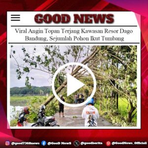 Viral Angin Topan Terjang Kawasan Resor Dago Bandung, Sejumlah Pohon Ikut Tumbang