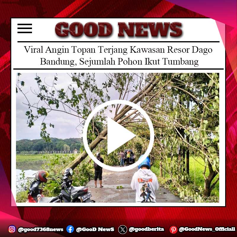 Viral Angin Topan Terjang Kawasan Resor Dago Bandung, Sejumlah Pohon Ikut Tumbang