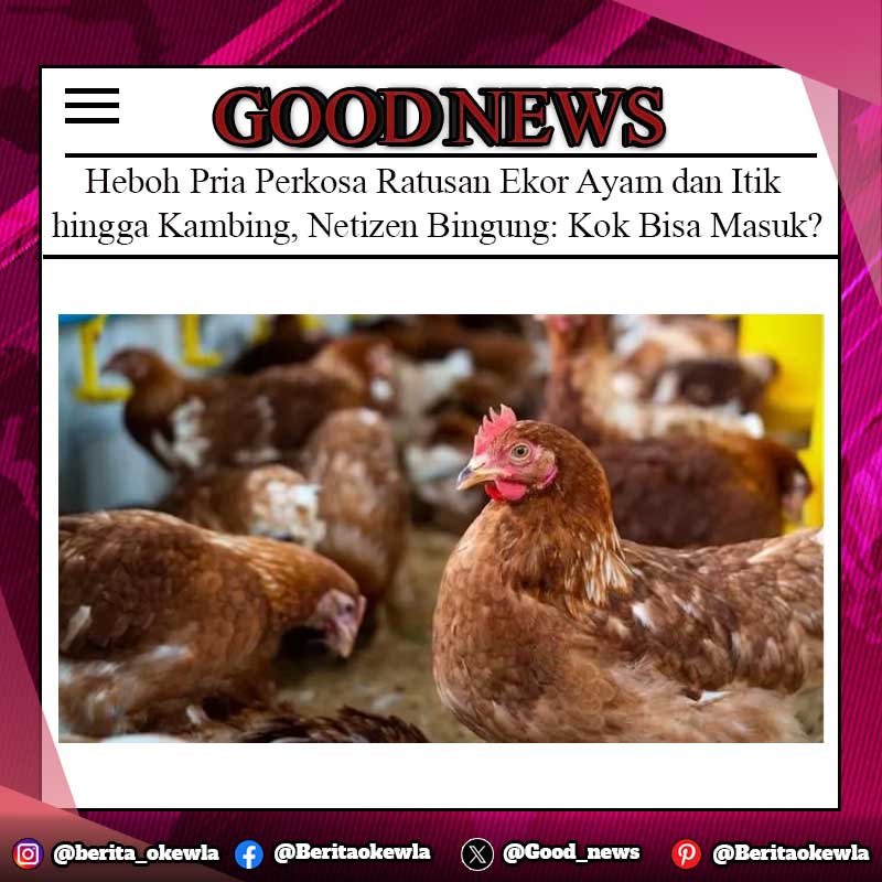 Heboh Pria Perkosa Ratusan Ekor Ayam dan Itik hingga Kambing, Netizen Bingung: Kok Bisa Masuk?