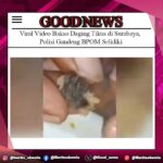 Viral Video Bakso Daging Tikus di Surabaya, Polisi Gandeng BPOM Selidiki